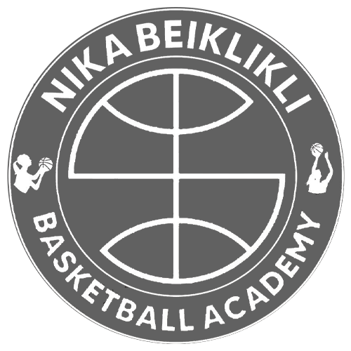 آکادمی بسکتبال نیکا